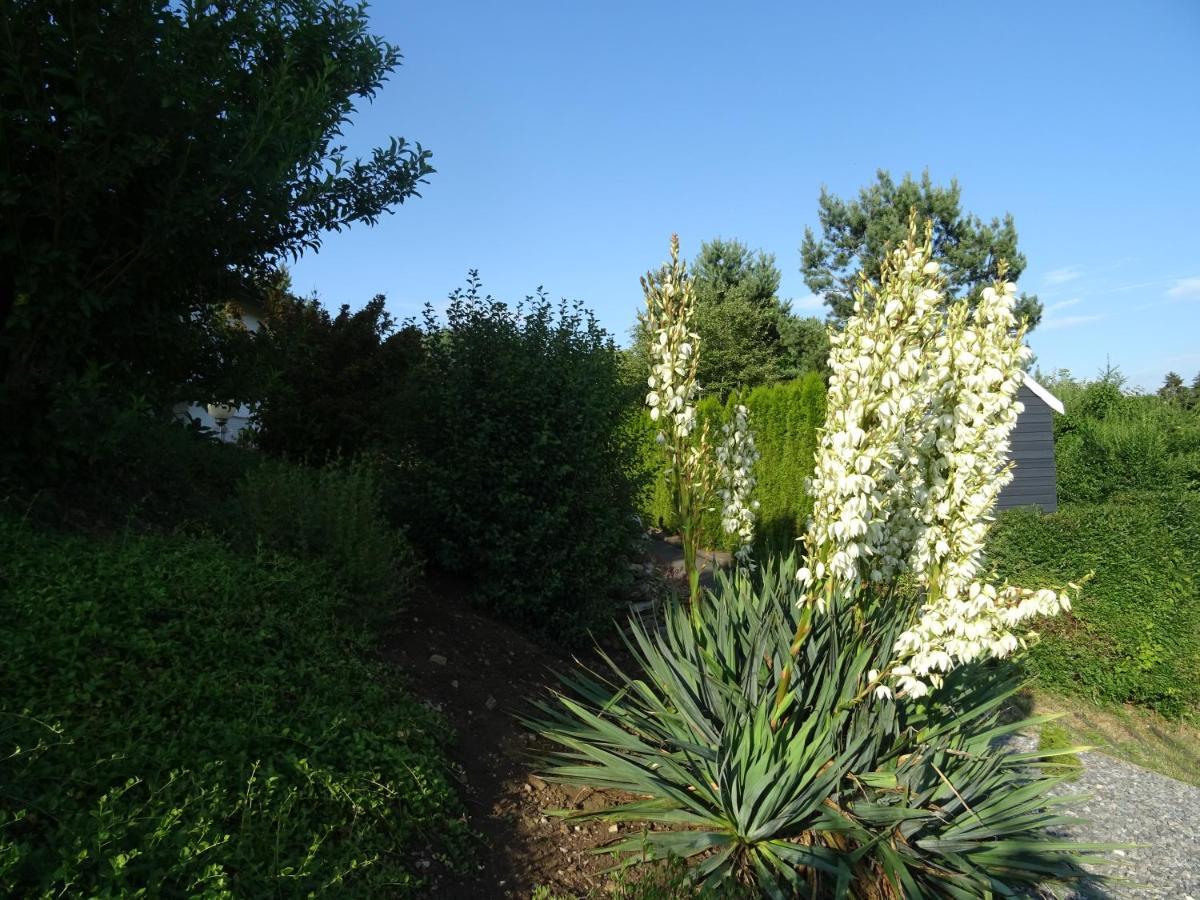 Ferienwohnung Turm im Blick Dietingen Exterior foto